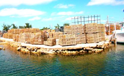 Lobster traps  on Stock Island
