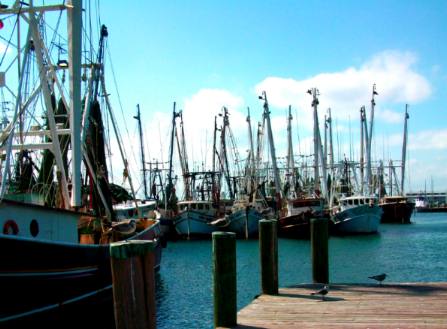 Gulf Shrimp boats Stock Island