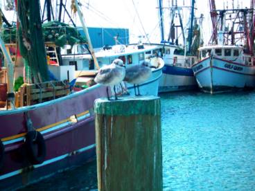 Shrimp boat docks on Stock Island