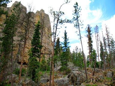 Granite wall visible on Needles Highway
