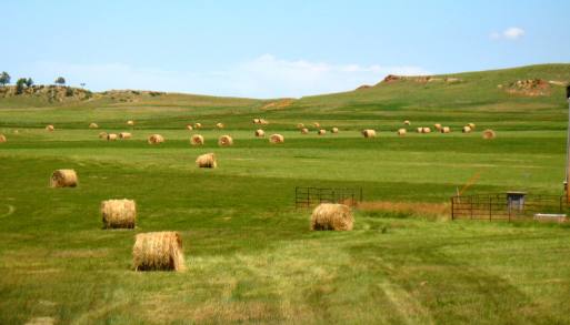 Rolled Hay north of Hot Springs, South Dakota