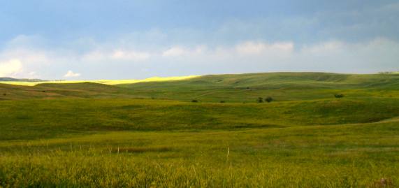 Custer State Park