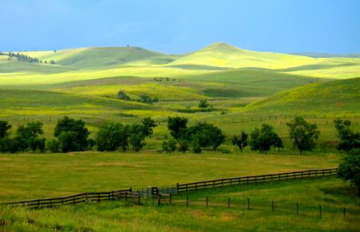 Wind Cave National Preserve