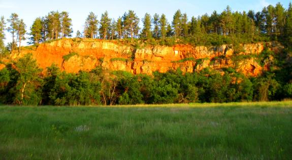 Sandstone exposure in Custer State Park