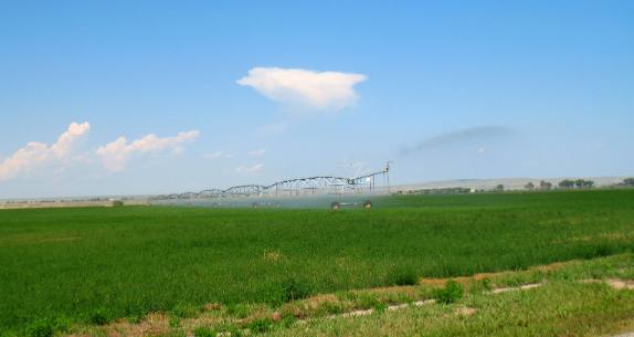 Pivot irrigation on alfalfa near Wheatland, Wyoming