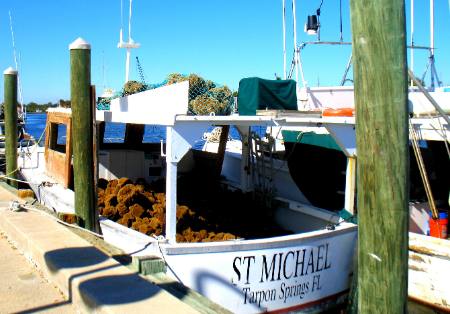sponge dock Tarpon Springs