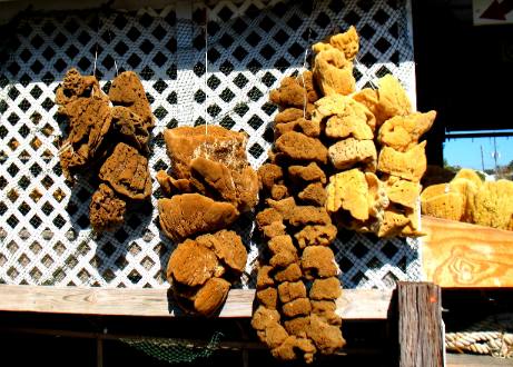 sponge dock Tarpon Springs