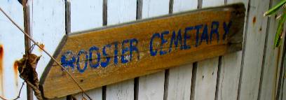 Rooster Cemetary at Blue Heaven Restaurant