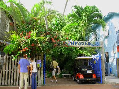 Blue Heaven Restaurant Key West