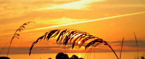 Anna Maria Island sunset