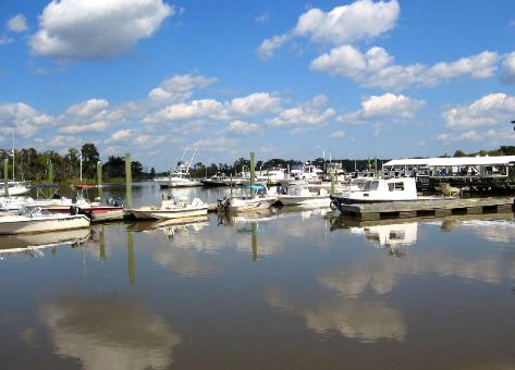 Two Way Marina & Fish Camp on Altamaha River Darien, Georgia