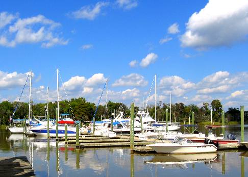 Two Way Marina & Fish Camp on the Altamaha River at Darien, Georgia 