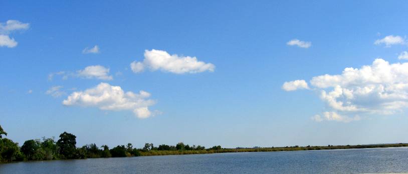 Altamaha River near Darien, Georgia