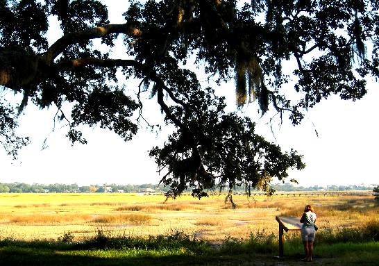 Joyce Hendrix at the Battle of Bloody Marsh National Historic Site