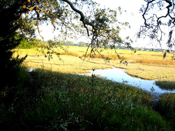 Battle of Bloody Marsh location