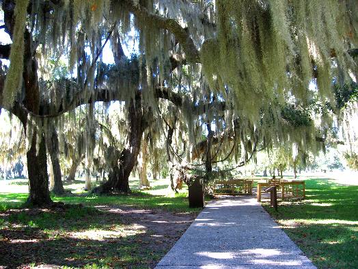 Fort Frederica