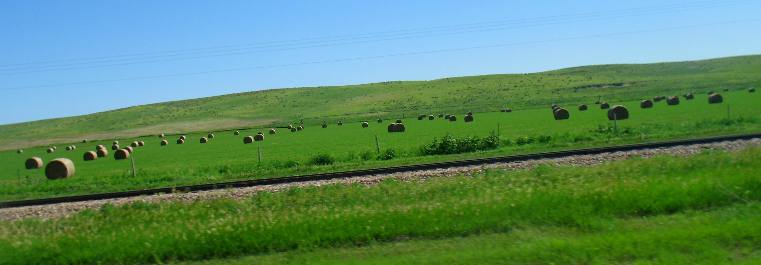 Alfalfa hay field Scenic US-6 Nebraska