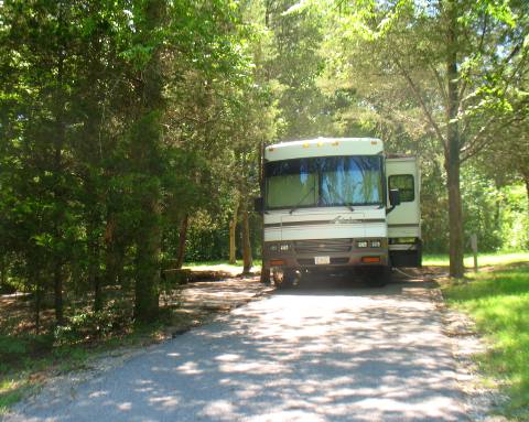 Our campsite at Seven Points COE Campground