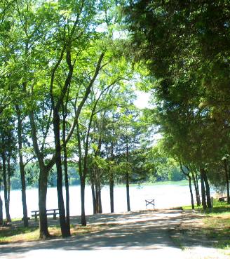 Waterfront campsite at Seven Points COE Campground