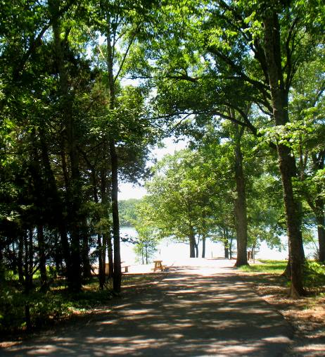 Typical lakefront campsites at Seven Points COE Campground & Park