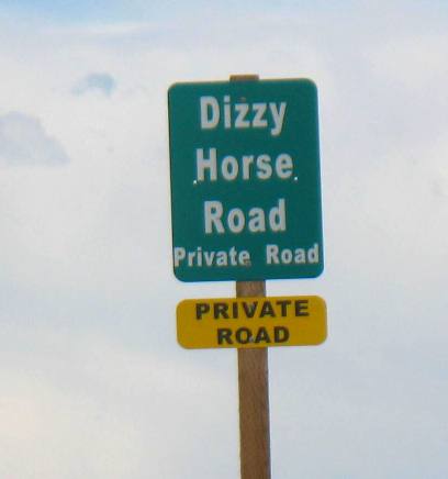 Dizzy Horse Road