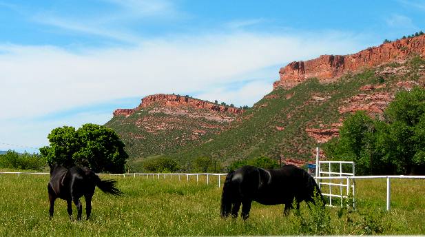 Bonnie & Clyde on the Ellis Ranch with Red Hills in background