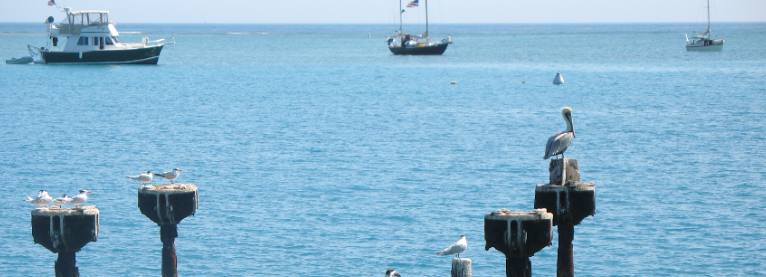 These fortunate individuals are visiting Fort Jefferson on private boats