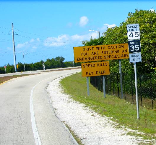 Warning signs for Endangered Key Deer on US-1 and Big Pine Key