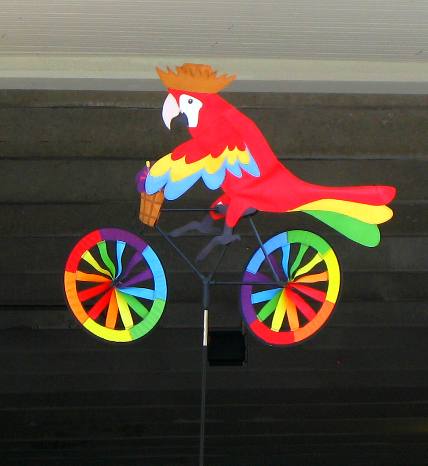 Colorful Parrot on a bicycle