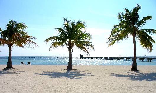 Beach at Higgs Beach in Key West