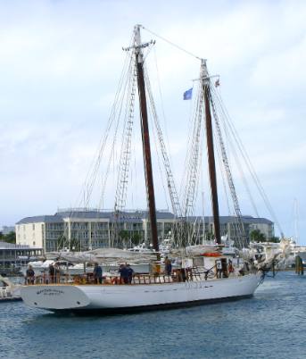 Tall sailing ship Western Union docking along Harbor Walk in Key West Bight Marina