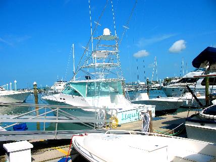 The LIQUIDATOR is a private sports fishing boat our of Gulf Breeze, Florida 