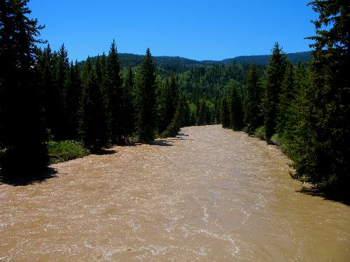 The muddy Gros Ventre River as seen from a National Forest Campground along Gros Ventre Road in the Gros Ventre Mountain Range east of Kelly, Wyoming 