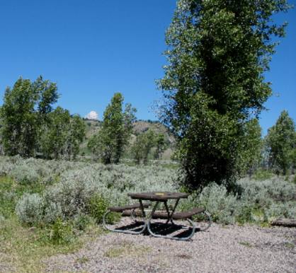 Picnic table in one of the Gros Ventre Campground sites