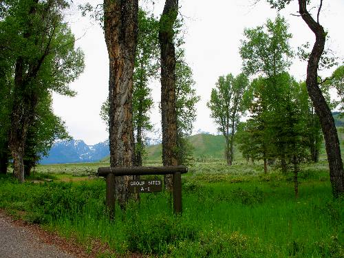 Typical view from a campsite in Gros Ventre Campground in Grand Teton National Park