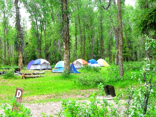 Group tenting area in Gros Ventre Campground