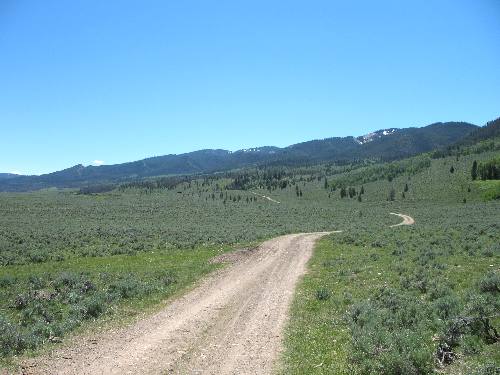 Sage brush covers much of the high altitudes in the Gros Ventre Mountains