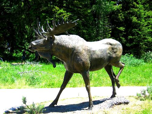Bronze Moose Statue at the Grand Teton National Park Visitor Center in Moose, Wyoming