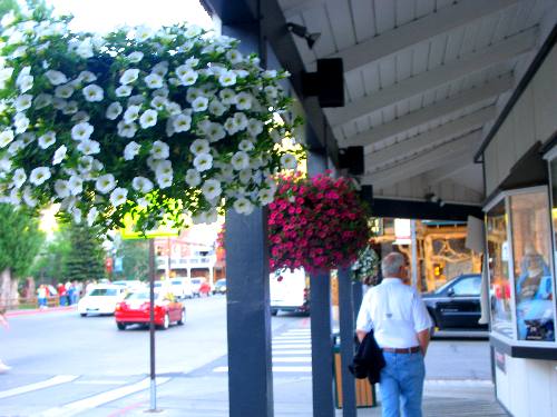 This is Mike walking past some beautiful flower baskets in downtown Jackson 