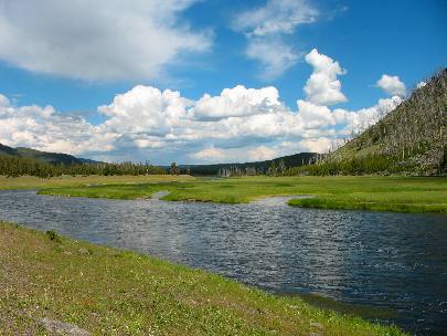 Madison River flowing throught the Madison Valley in Yellowstone National Park