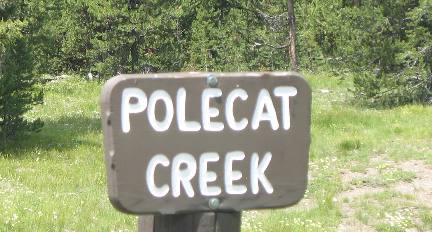 Polecat Creek along Grassy Lake Road in John D. Rockefeller Jr. Memorial Parkway west of Flagg Ranch