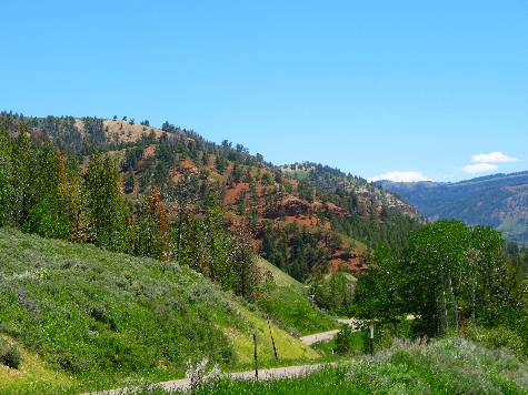 Red Hills visible along Gros Ventre Road in the Gros Ventre Wilderness east of Kelly, Wyoming