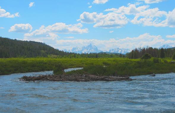 Grand Teton Mountain in the Teton Range as seen from Turpin Meadow in the Buffalo Valley east of Moran Junction