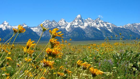 The Teton Range and Grand Teton Mountain as seen from the eastern side of Antelope Flats in Grand Teton National Park