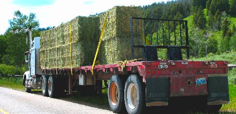Delivering hay to the special use corrals located at Turpin Meadows NFS Trailhead and Campground