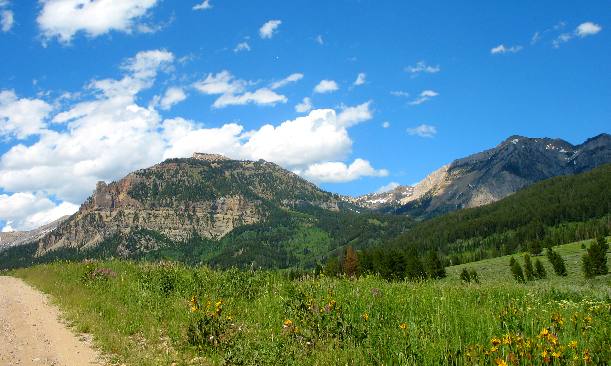 Mountains & wildflower meadows in the Gros Ventre Wilderness along Granite Creek Road southeast of Hoback Junction
