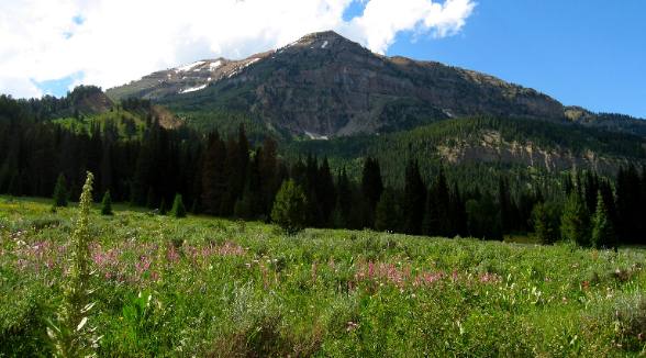 Meadow and mountain deep in the Gros Ventre Wilderness on Granite Creek Road southeast of Hoback Junction