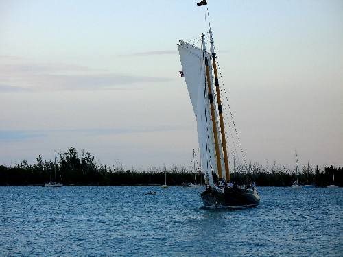 The America 2 fast sailing schooner sailing past Wisteria Island off Key West