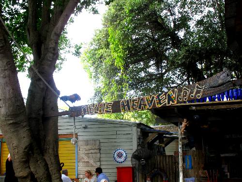 View from the al fresco dining area at Blue Heaven in Key West