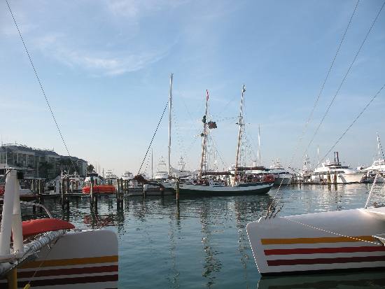Jolly Rover docked in the historic old seaport at Key West Bight